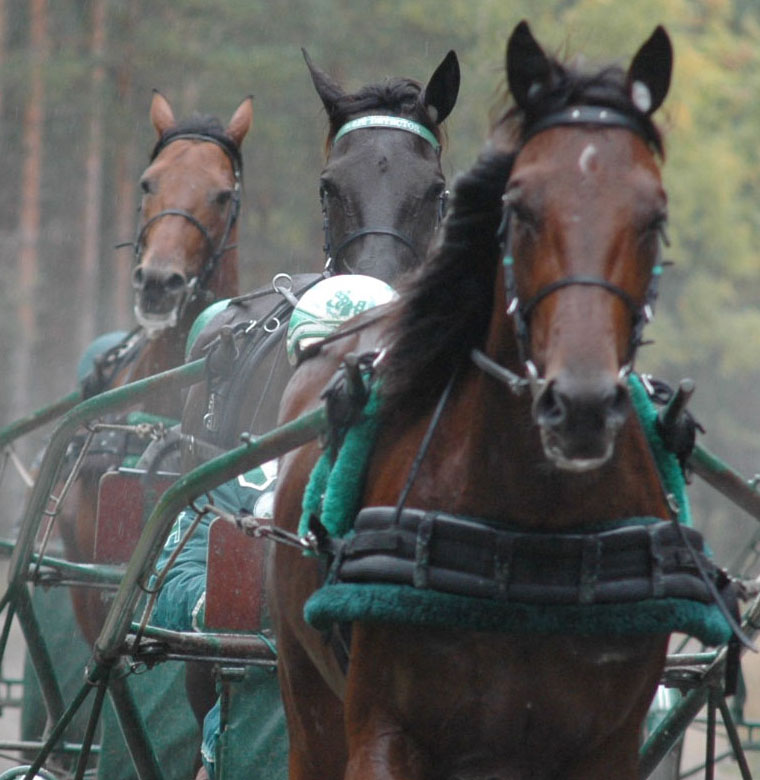 En trio som kvalificerade sig till hela 20 årgångsfinaler, Maharajah, Lie Detector och Jocose. Foto; A.Lindblom